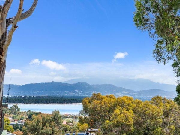Harrison Grove Villa Forcett Bagian luar foto